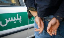 دستگیری سارقان منزل و کشف ۷ فقره سرقت در خرم آباد