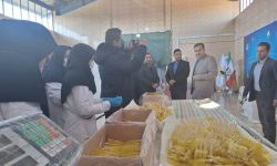 بهره‌برداری از ۲۲۸ طرح در لرستان