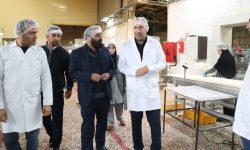 تولیدات غذایی لرستان تحت نظارت استاندارد