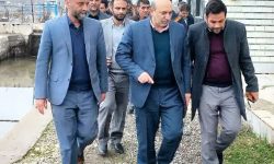 لرستان قطب ماهیان خاویاری می شود