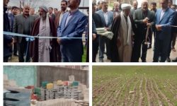 افتتاح طرح‌های زنجیره سبز ستاد اجرایی در کوهدشت