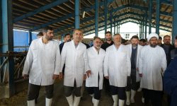 هدف از سفر به لرستان بررسی حوزه اشتغال است