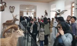 موزه تاریخ طبیعی و تنوع زیستی لرستان پر بازدیدترین موزه کشور