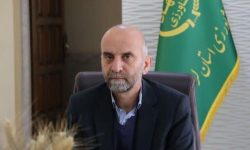 ۹۰ هزار تُن گوشت مرغ در لرستان تولید شد