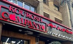 تشریح پرونده «کوروش کمپانی» از زبان سخنگوی فراجا