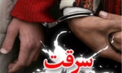 دستگیری سارق با ۳۵ فقره سرقت در خرم آباد