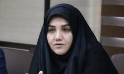فعالیت ۲۴ تیم بازرسی و نظارتی لرستان در ایام عید نوروز
