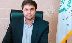 توزیع ۱۸۰ هزار تن نهاده های دامی در لرستان