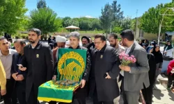 سلسله زیر چتر مهربانی امام رئوف