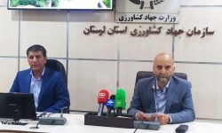 بازگشت ۲۳۹ واحد غیر فعال کشاورزی لرستان به چرخه تولید