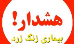 هشدار بیماری زنگ زرد مزارع جو و گندم لرستان
