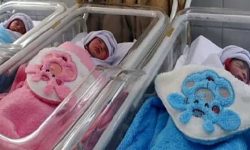 ارائه خدمات حمایتی بهزیستی لرستان به ۲۰۰۰ خانواده دارای فرزند دوقلو به بالا