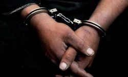 سارق فنس باغات کشاورزی در خرم آباد به دام افتاد