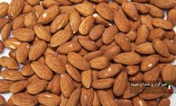 توقیف کامیون حامل بیش از ۴ تن مغز بادام در لرستان