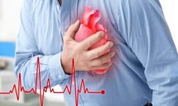 اختلال چربی خون،عامل بروز بیماری‌های قلبی