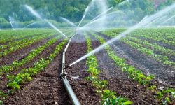 تجهیز ۶۴۰ هکتار از اراضی لرستان به سیستم‌های نوین آبیاری