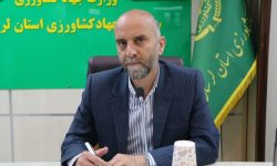 رشد ۵۷ درصدی تولید مرغ و گوشت در لرستان