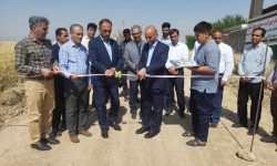 مطالبات گندم‌کاران لرستانی پرداخت می‌شود