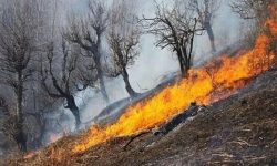 آتش سوزی همزمان در ۹ نقطه شهرستان های چگنی و کوهدشت