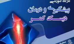 کارگاه آموزشی پیشگیری و درمان دیسک کمر برگزار می‌شود