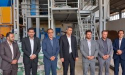 تولید سالانه ۱۹۵ هزار تن گوشت قرمز توسط عشایر در کشور