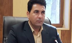 سرپرست جدید سازمان سیما،منظر و فضای سبز شهرداری منصوب شد