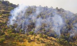 اطفا آتش سوزی منطقه انبارته دلفان