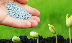 جریمه یک میلیارد و ۵۸۵ میلیون ریالی یک کارگزار کشاورزی در الیگودرز
