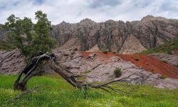 «مهراب کوه» دلفان ثبت ملی شد