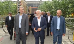 سرمایه‌گذاری ۵ همتی در بخش کشاورزی لرستان