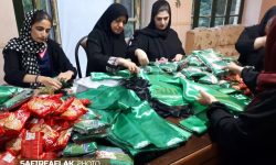 خادمی برای کوچک‌ترین شهید کربلا