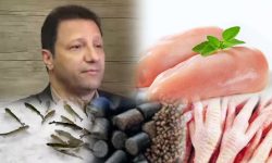 صادرات ۶۷۱ تن فرآورده‌های طیور و آبزیان از لرستان