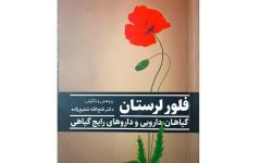 «فلور لرستان» منتشر شد