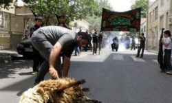 هیئت‌های مذهبی از ذبح دام خارج از چرخه نظارت بهداشتی خودداری کنند