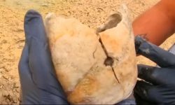بازگشت جمجمه ۹ هزارساله مرد دلفانی به لرستان