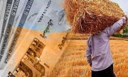 پرداخت ۲۴۷۳میلیارد تومان از مطالبات گندم‌کاران لرستانی