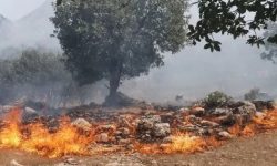 ۲۵۱ هکتار مزارع کشاورزی لرستان طعمه حریق شد