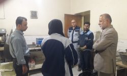 استاندارد لرستان بازوی یاری رسان تولید