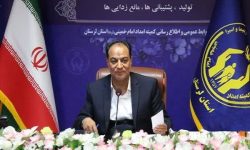 ایجاد ۱۳ هزار فرصت شغلی برای مددجویان لرستانی
