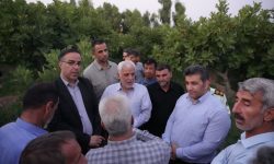 مشکلات باغداران انجیر معمولان برطرف شود
