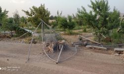 رفع تصرف ۲۳۱ مورد تغییر کاربری غیرمجاز در لرستان