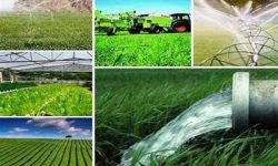 ۵۸ پروژه بخش کشاورزی در لرستان افتتاح می شود