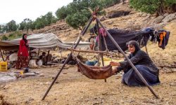 توانمندسازی عشایر در راستای تحقق شعار سال مورد توجه قرار بگیرد