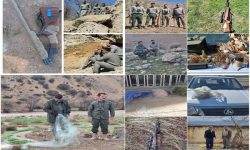 دستگیری ۱۶ گروه متخلف زیست‌محیطی در لرستان