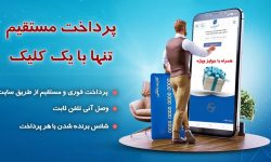 امکان پرداخت فوری قبوض تلفن ثابت و وصل آنی فعال شد