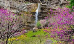 اسکان ۲ هزار مسافر نوروزی در اقامتگاه‌های بوم‌گردی لرستان