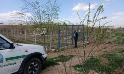 شناسایی ۵ مورد تغییر کاربری غیرمجاز در لرستان