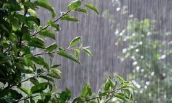 نورآباد رکورد دار بیشترین بارندگی در لرستان
