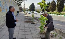 کاشت ۲۰ هزار اصله نهال تا پایان سال در خرم‌آباد