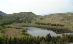 آبگیری مطلوب ۱۳ تالاب پلدختر